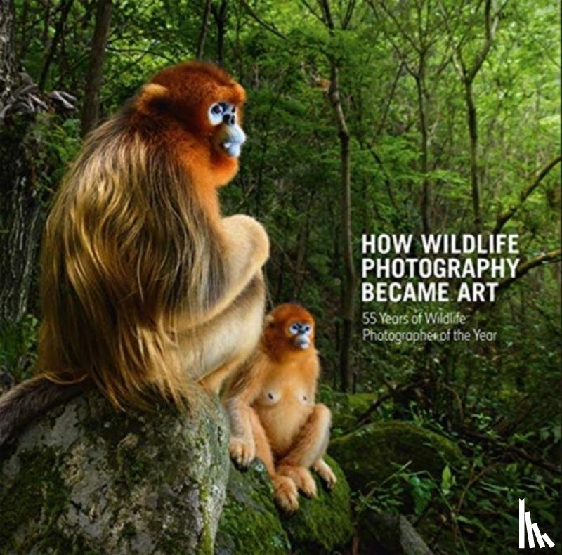  - How Wildlife Photography Became Art