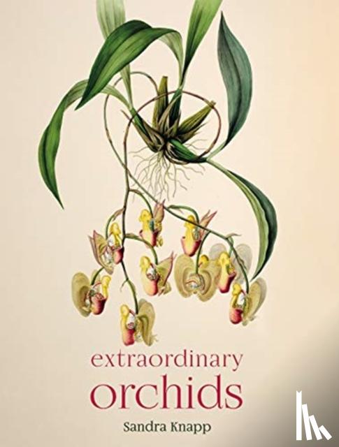 Knapp, Sandra - Extraordinary Orchids