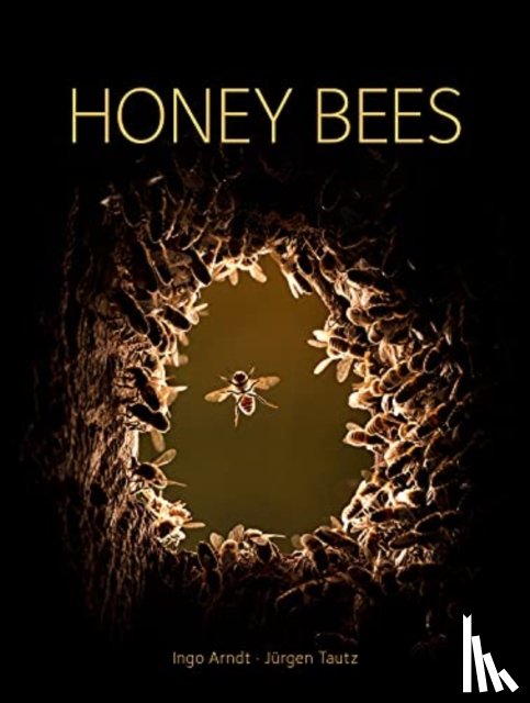 Tautz, Jurgen - Honey Bees