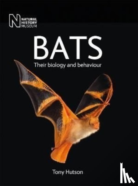 Hutson, Tony - Bats