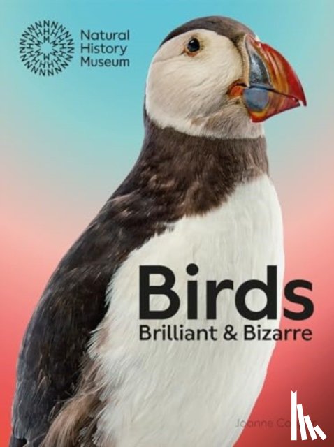 Cooper, Joanne - Birds