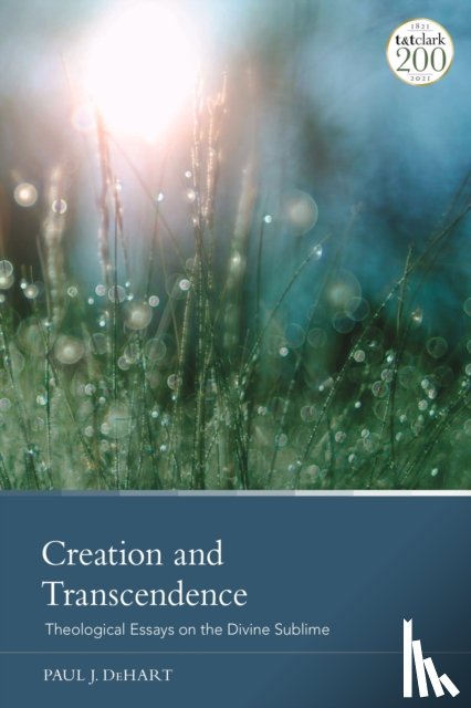 DeHart, Professor Paul J. (Vanderbilt University, USA) - Creation and Transcendence