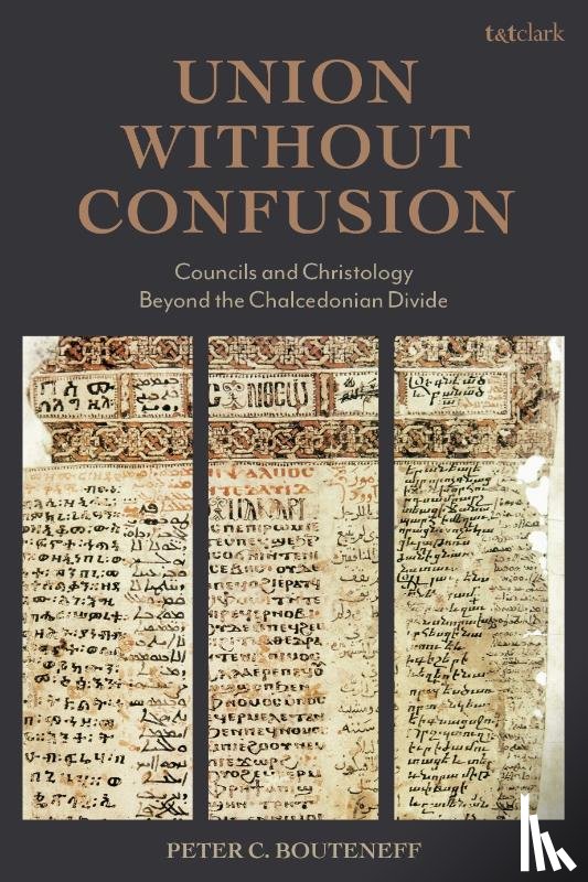 Bouteneff, Professor Peter C. (St. Vladimir's Orthodox Theology Seminary - Union Without Confusion