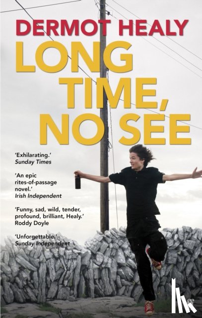 Healy, Dermot - Long Time, No See