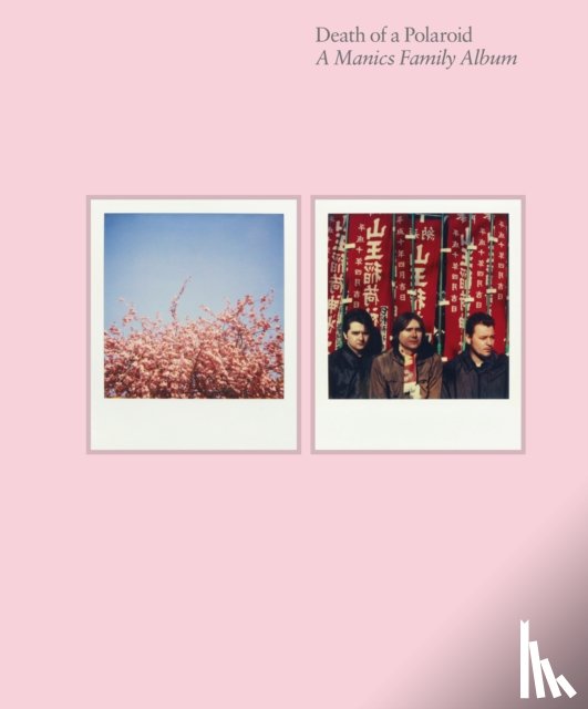 Wire, Nicky - Death of a Polaroid - A Manics Family Album