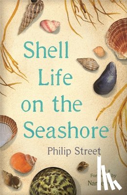 Street, Philip - Shell Life on the Seashore