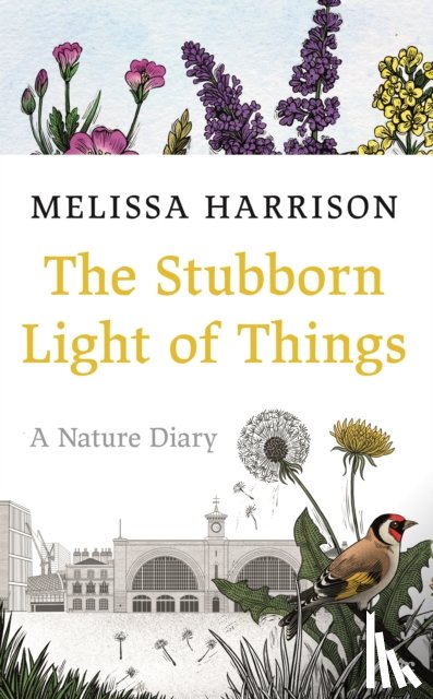 Harrison, Melissa - The Stubborn Light of Things