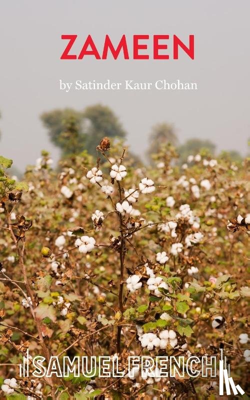 Kaur Chohan, Satinder - Zameen