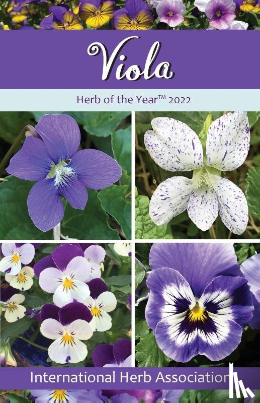  - Viola