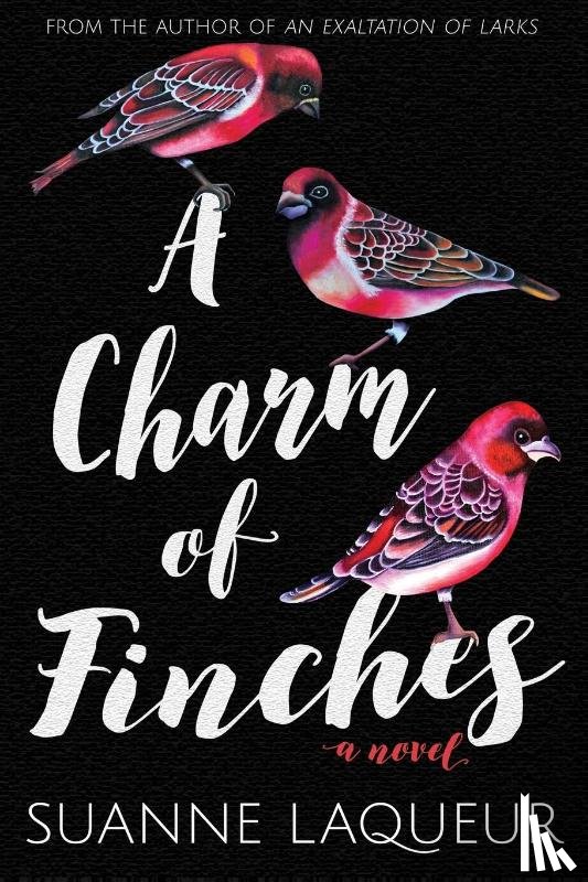Laqueur, Suanne - A Charm of Finches
