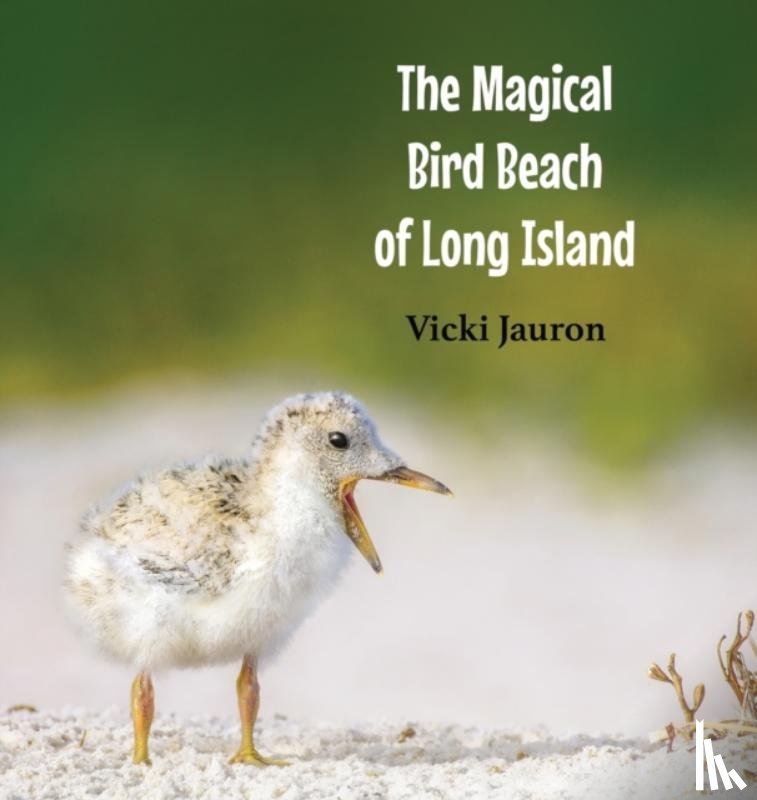 Jauron, Vicki - The Magical Bird Beach of Long Island
