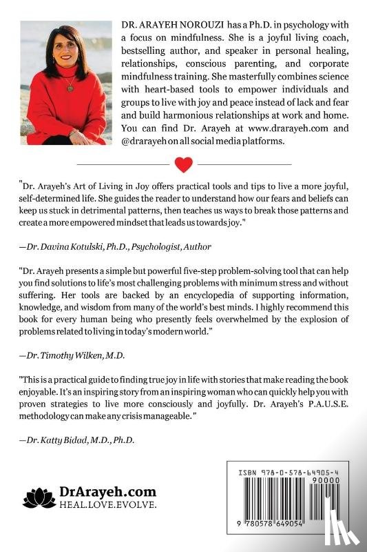 Norouzi, Arayeh - The Art of Living in Joy