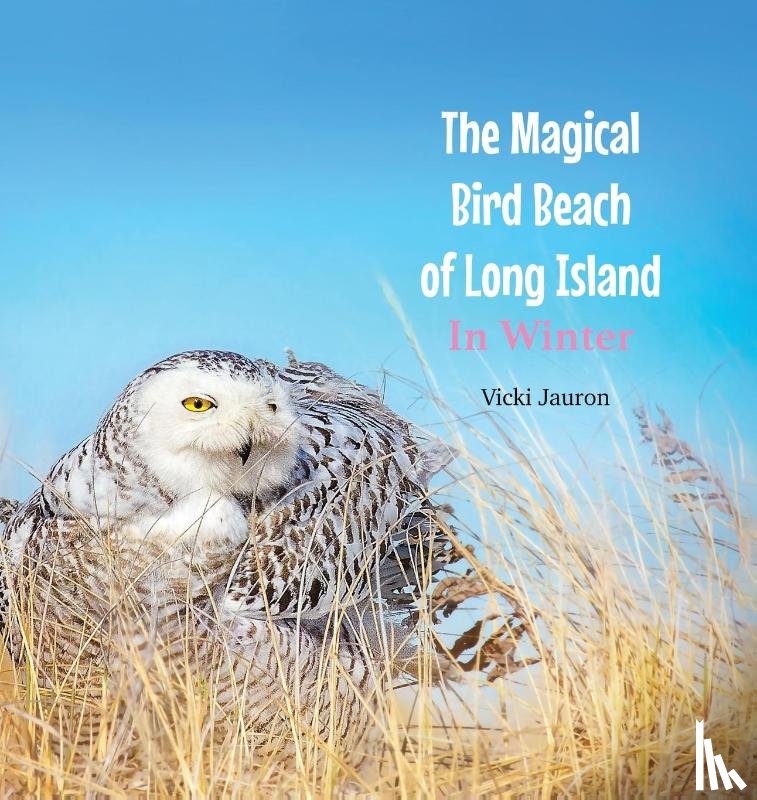 Jauron, Vicki - The Magical Bird Beach of Long Island in Winter