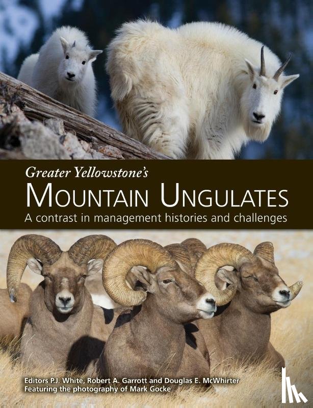  - Greater Yellowstone's Mountain Ungulates