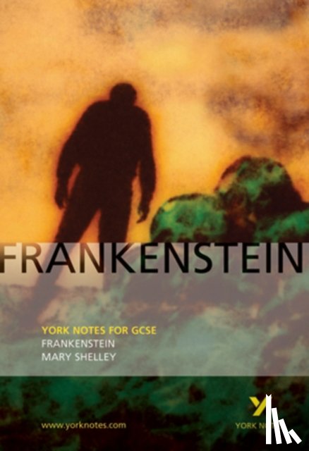 Shelley, Mary, Fairburn, Alex - Frankenstein: York Notes for GCSE