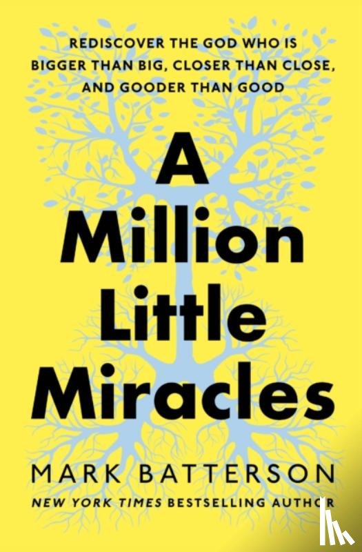 Batterson, Mark - A Million Little Miracles