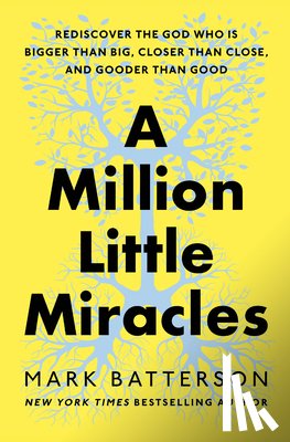 Batterson, Mark - A Million Little Miracles