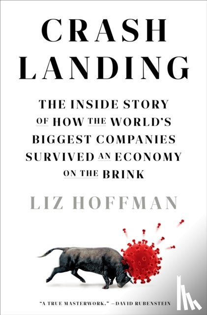 Hoffman, Liz - Crash Landing