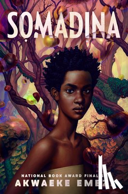 Emezi, Akwaeke - Somadina