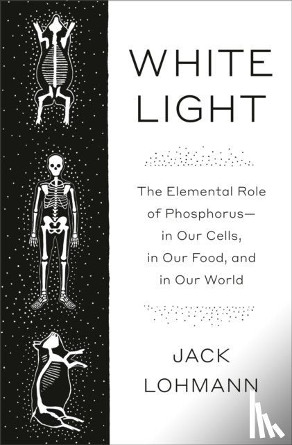 Lohmann, Jack - White Light