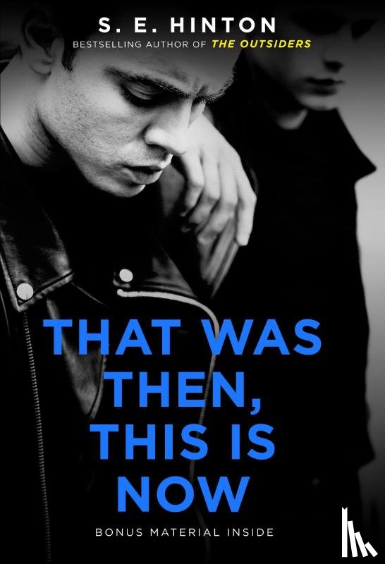 Hinton, S. E. - That Was Then, This Is Now