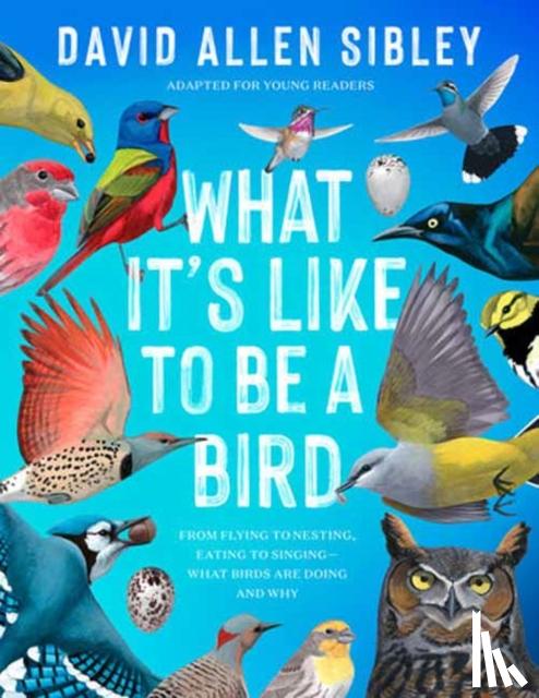 Sibley, David Allen - What It's Like to Be a Bird (Adapted for Young Readers)