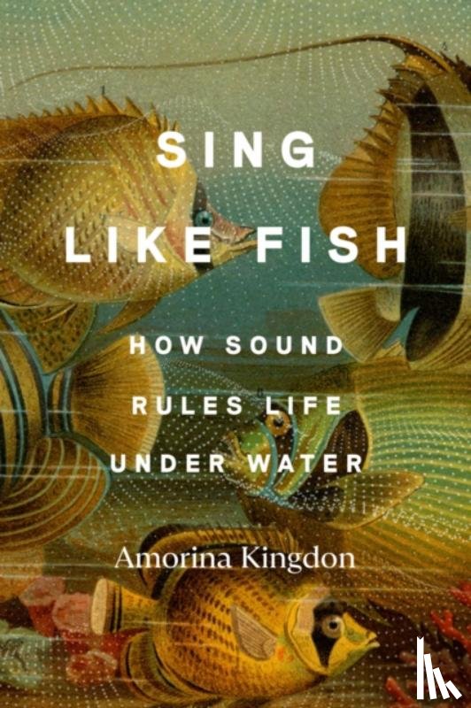 Kingdon, Amorina - Sing Like Fish