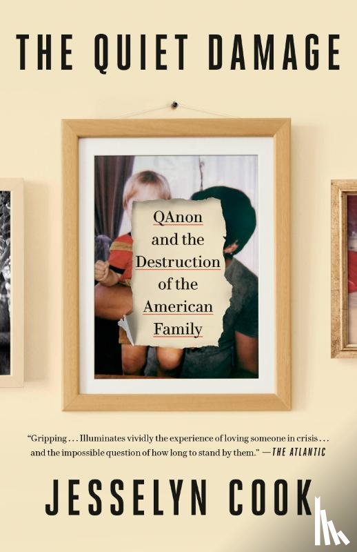 Cook, Jesselyn - The Quiet Damage