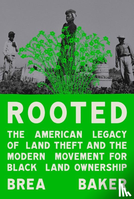 Baker, Brea - Baker, B: Rooted