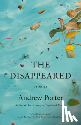 Porter, Andrew - The Disappeared