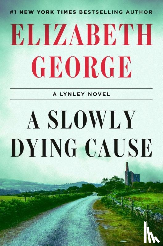 George, Elizabeth - A Slowly Dying Cause