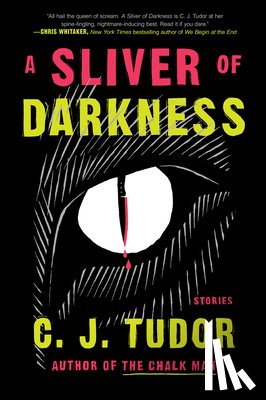 Tudor, C. J. - A Sliver of Darkness: Stories