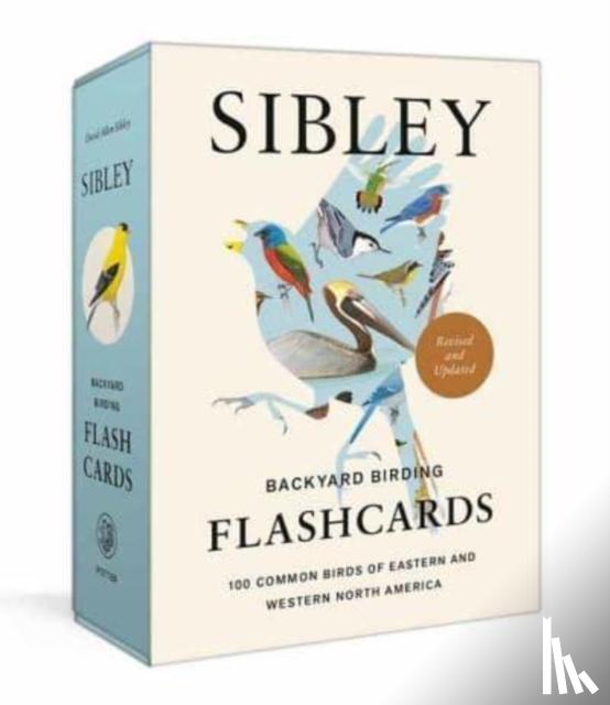 Sibley, David Allen - Sibley Backyard Birding Flashcards, Revised and Updated