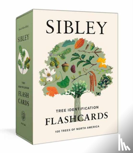 Sibley, David Allen - Sibley Tree Identification Flashcards
