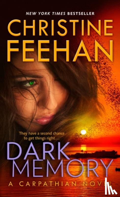 Feehan, Christine - Feehan, C: Dark Memory