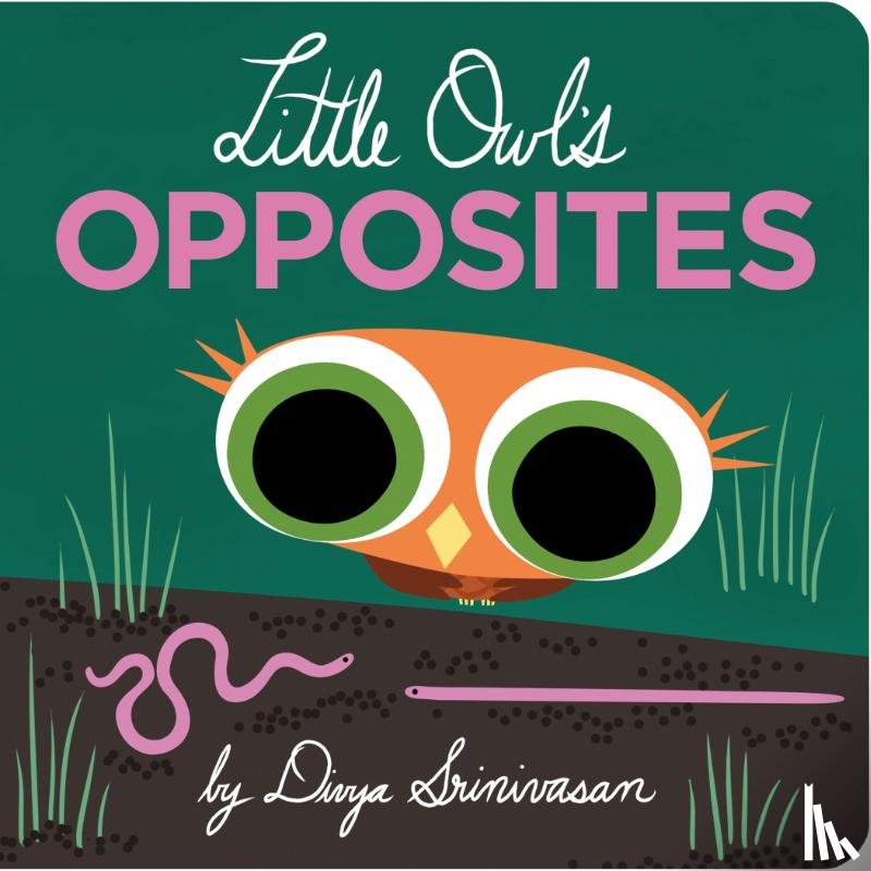 Srinivasan, Divya - Little Owl's Opposites