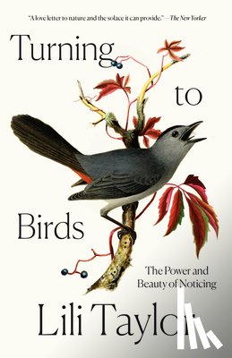 Taylor, Lili - Turning to Birds: The Power and Beauty of Noticing