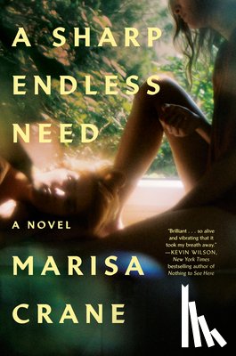 Crane, Marisa - A Sharp Endless Need