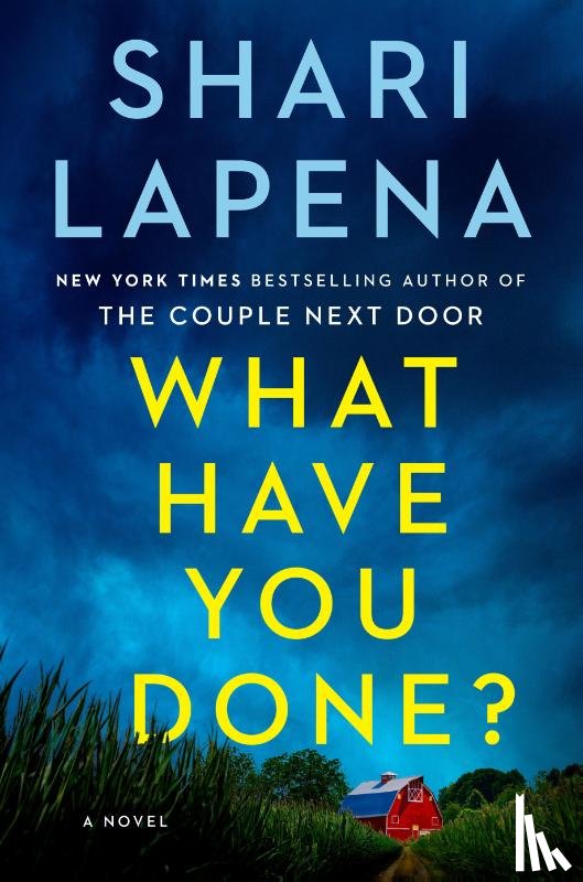 Lapena, Shari - What Have You Done?