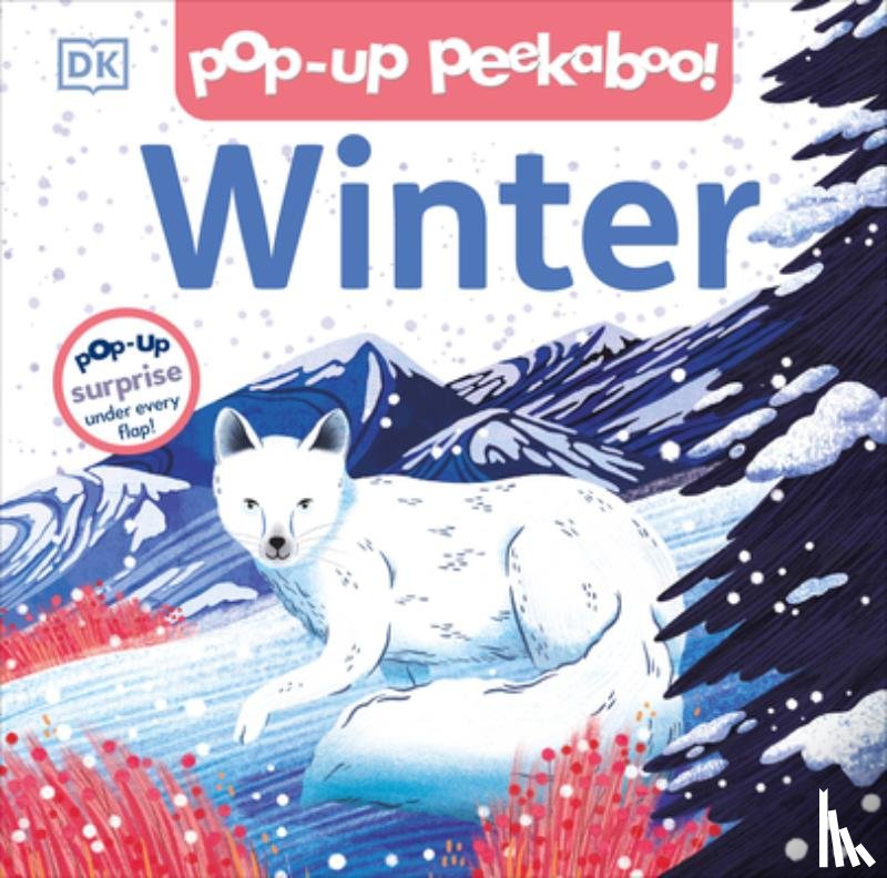 DK - Pop-Up Peekaboo! Winter: Pop-Up Surprise Under Every Flap!