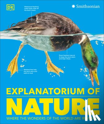 DK - Explanatorium of Nature: Where the Wonders of the World Are Revealed