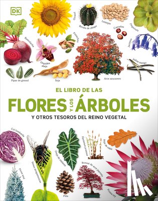 Dk - El Libro de Las Flores Y Los Árboles (Our World in Pictures: Trees, Leaves, Flowers & Seeds)