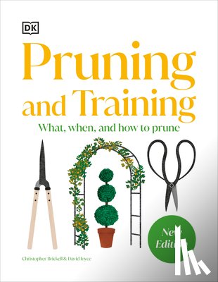 DK - Pruning and Training: What, When, and How to Prune