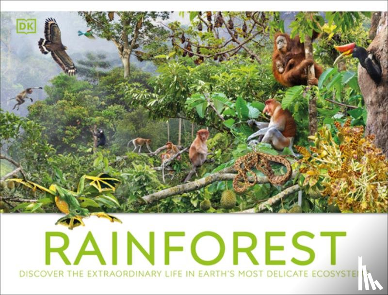 DK - Rainforest