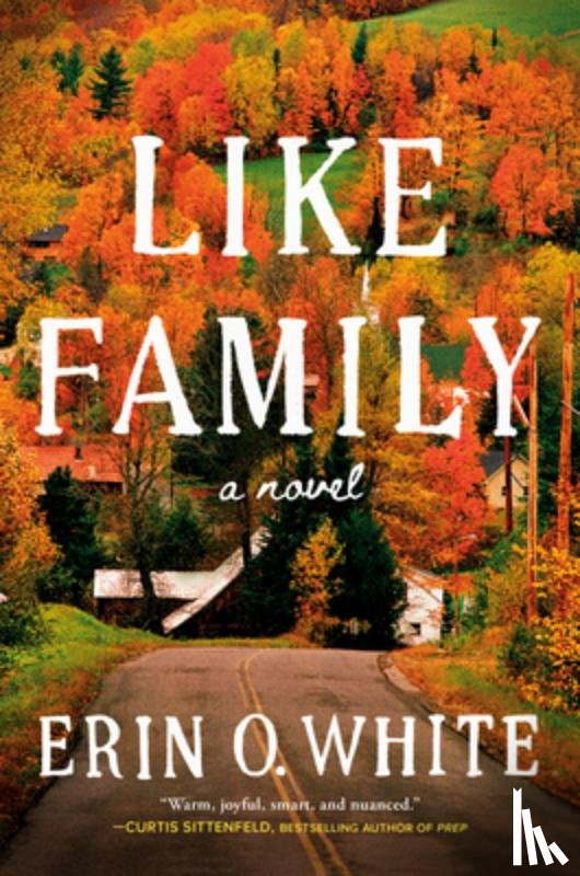 White, Erin O. - Like Family