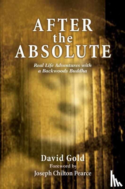 Gold, David - After the Absolute