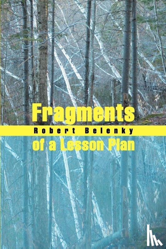 Belenky, Robert - Fragments of a Lesson Plan