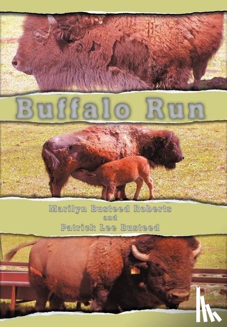 Roberts, Marilyn Busteed - Buffalo Run
