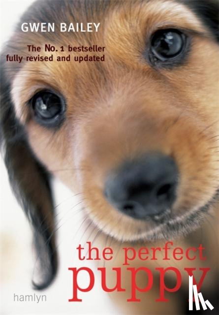 Bailey, Gwen - Perfect Puppy
