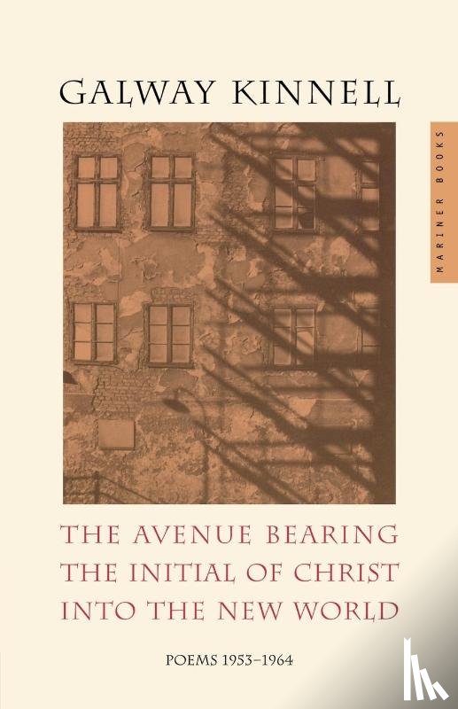 Kinnell, Galway - The Avenue Bearing the Initial of Christ Into the New World